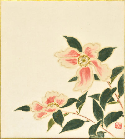 山茶花（色紙） 本間　蕣華