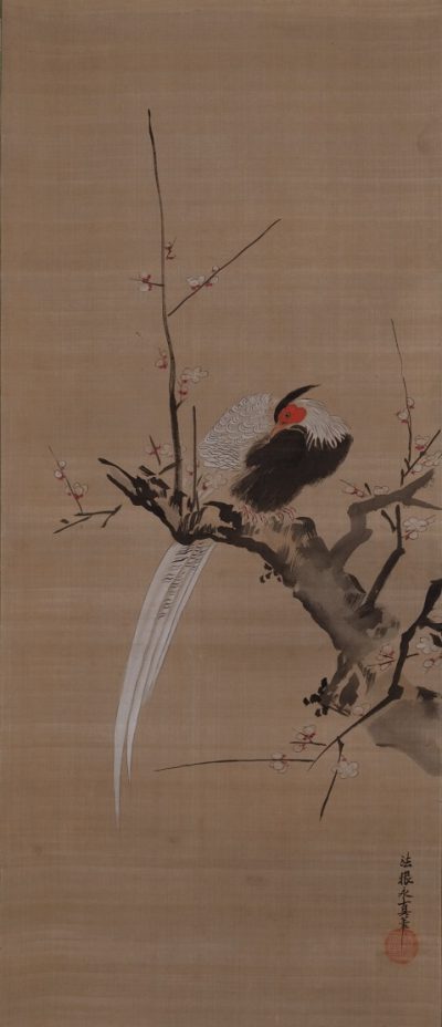 三酸花鳥図 狩野 安信