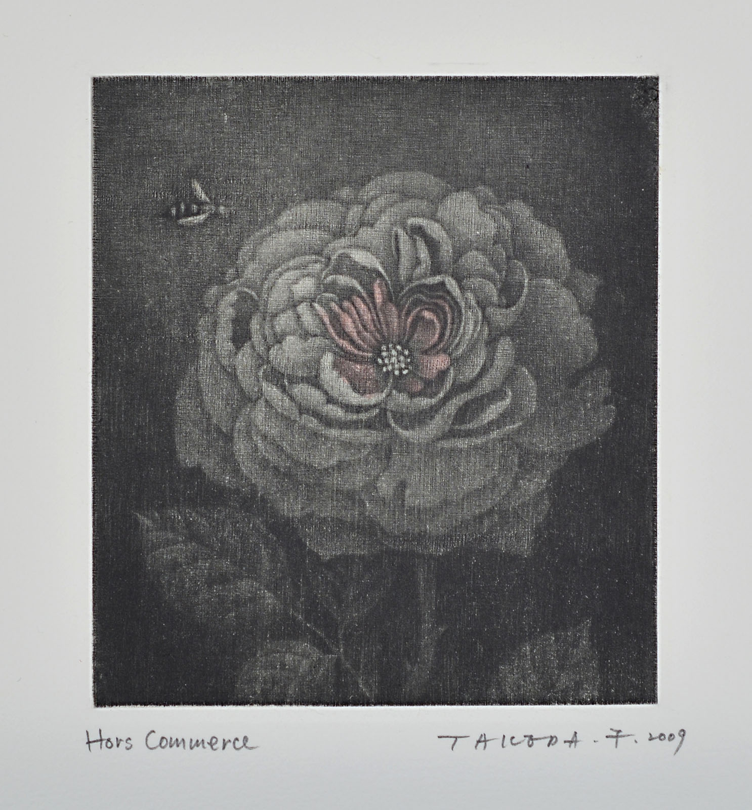 Horse Commerce “Rose ‘Une rose seule，C’est toutes les roses” 武田 史子