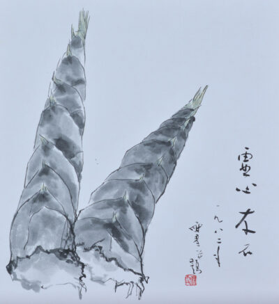 筍図（色紙） 佐藤　耐雪